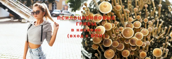 прущие крисы Наволоки