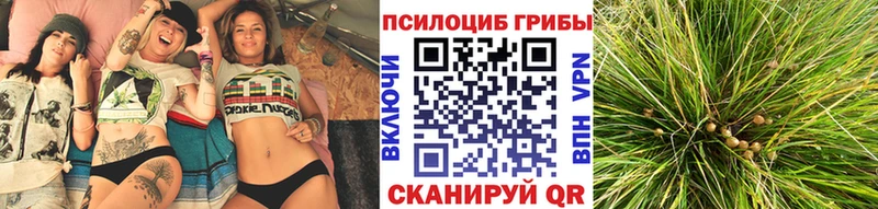 Псилоцибиновые грибы мицелий  Купить  Каневская 